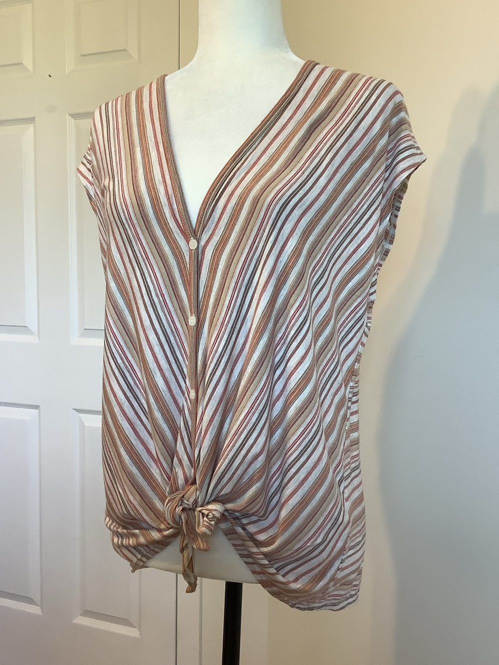 Max Studio Diagonal Striped Tie-Front V-Neck Top in Beige and Rust